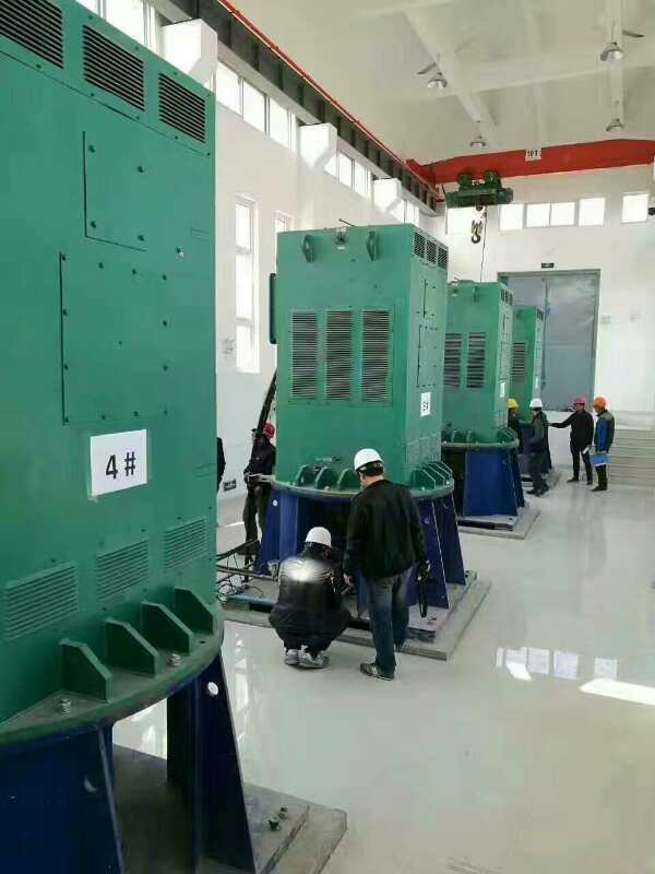 干驿镇某污水处理厂使用我厂的立式高压电机安装现场
